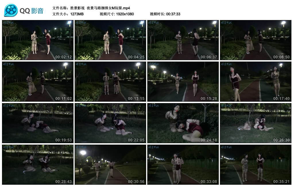 【胜景影视】夜景马路捆绑女M玩耍_绳艺库视频下载