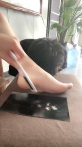 【沅芷大人】刮脚皮让贱狗吃掉 bf28265_绳艺库视频下载