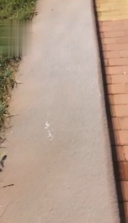 冷柔户外调_绳艺库视频下载