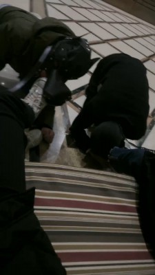 【桃幼幼】学生主户外溜双狗 bf23005_绳艺库视频下载