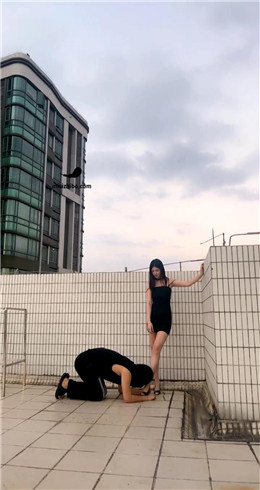 【Fiona菲菲】天台调教尾随狗 bf21488_绳艺库视频下载