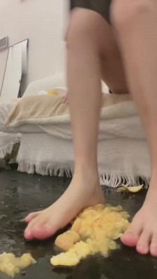 【香菜】狗狗养成计划-踩踏食物【下】 bf3822_绳艺库视频下载