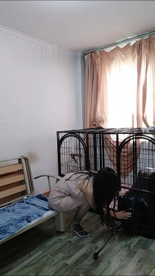 【榕s】首调狗笼驯化 bf16186_绳艺库视频下载