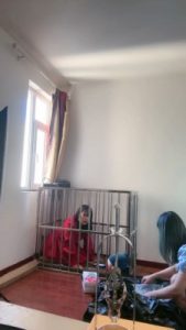 套路直播视频【萝莉刑】狗笼里的母畜 bf24633_绳艺库视频下载