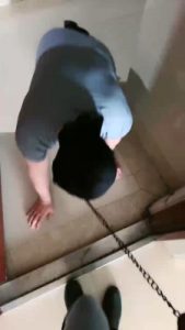 【猫神大人】马术S溜家奴转胯/虐乳闻棉袜 bf27899_绳艺库视频下载