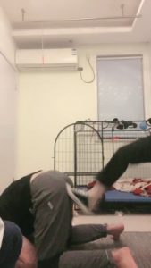 【安静大大】双奴被母女S刑虐【双视角版】  JS22102509_绳艺库视频下载