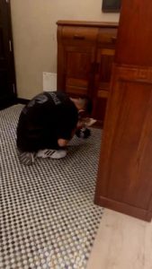 【甜甜大人】弟弟居然喜欢被虐 bf19659_绳艺库视频下载