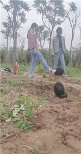 超强野外双S遛狗【上】 JS2204301_绳艺库视频下载