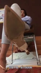 临沂安诺s第一人称羞辱网调贱货滚进来听_绳艺库视频下载