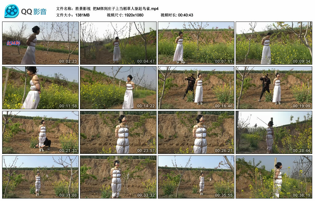 【胜景影视】把M绑到庄子上当稻草人驱赶鸟雀_绳艺库视频下载