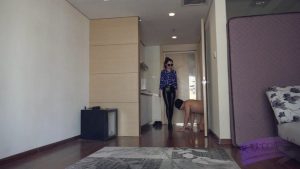 超级原味臭棉袜，脏鞋底调教贱狗_绳艺库视频下载