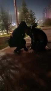 【雨雨大人】深夜路边遛狗 bf21916_绳艺库视频下载