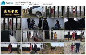 【mj影视】法网恢恢_绳艺库视频下载