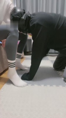 【曦晨】原味白袜羞辱狗废物 bf10643_绳艺库视频下载