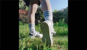 【执念S】户外训练人型犬_绳艺库视频下载