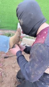 套路直播视频【宸宸】双S强迫狗舔脏鞋底/吃泥土【双视角版】 bf24680_绳艺库视频下载