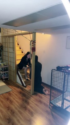 套路直播视频【十月】日式调教室首调废物 bf24641_绳艺库视频下载