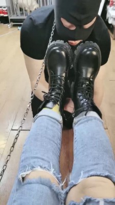 套路直播视频【西安欣】狗笼圈养喂食狗【双视角版】 bf24282_绳艺库视频下载