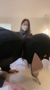 【欣蕊】开发新人做狗 bf22348_绳艺库视频下载