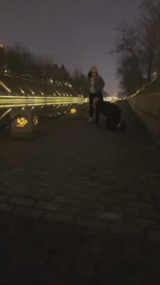 【乐姐s】护城河边散步遛狗【完整版】 bf10061_绳艺库视频下载