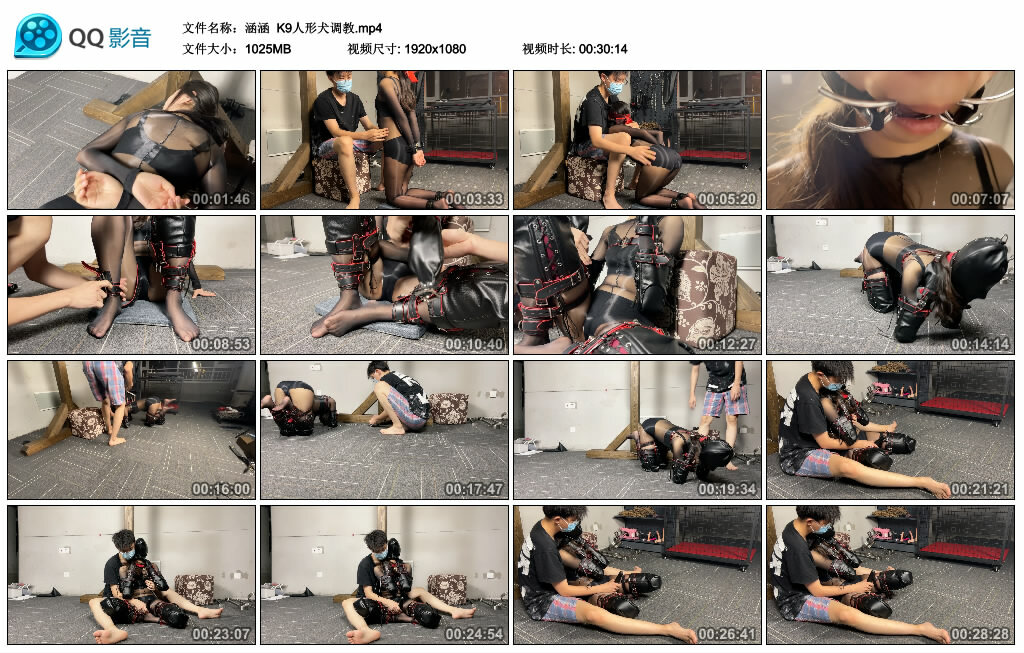 【涵涵】K9人形犬_绳艺库视频下载