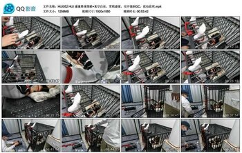 HUI 潼潼果体围裙+真空白丝，雪糕盛宴，双开强制GC，欲仙欲死_绳艺库视频下载