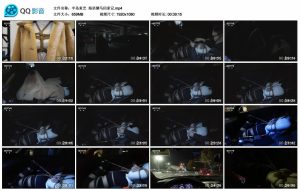 【半岛束艺】海语驷马回家记_绳艺库视频下载