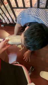 套路直播视频【桃幼幼】狗笼 圈养踩踏食物喂食/强制深喉 bf24544_绳艺库视频下载