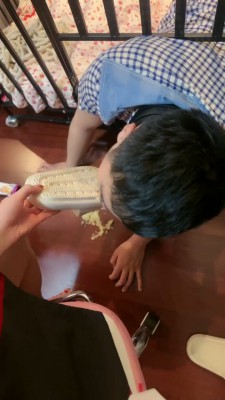 套路直播视频【桃幼幼】狗笼 圈养踩踏食物喂食/强制深喉 bf24544_绳艺库视频下载