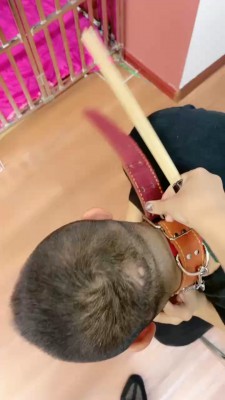 【小祖宗】艺术惩罚不听话狗奴 bf20126_绳艺库视频下载