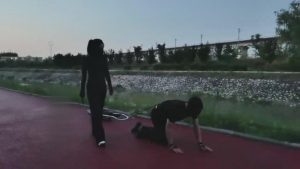 【药神】雨天户外遛狗 bf12697_绳艺库视频下载