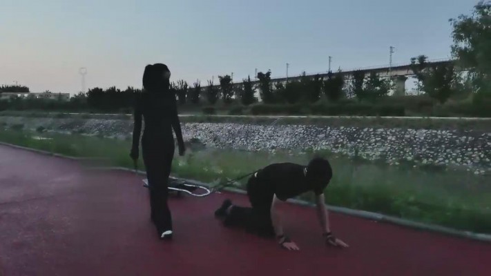 【药神】雨天户外遛狗 bf12697_绳艺库视频下载