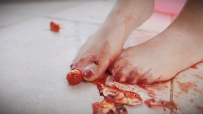 〖H.P.L栖心之栈〗—尔岚肉丝踩金鱼 HPL-230108_绳艺库视频下载