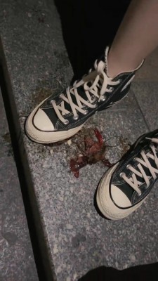 套路直播视频【万一】各种鞋子踩踏碾压小龙虾 bf25203_绳艺库视频下载