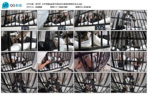 【面具男】女声伪娘jiojio笼中强迫抬头绝望拘禁疯狂电击_绳艺库视频下载