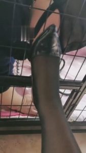 【傲雪】圈养狗首次开发厕奴功能 bf4445_绳艺库视频下载