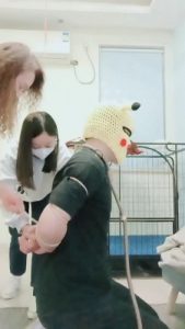 套路直播视频【安静大大】母女S-圈养邻居狗艺术【双视角版】 bf24640_绳艺库视频下载