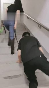 【美帝】御姐楼道遛狗 bf17774_绳艺库视频下载