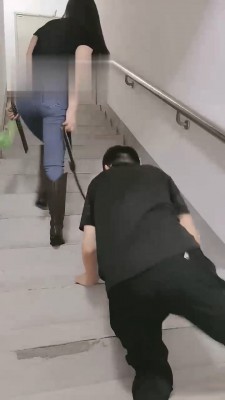 【美帝】御姐楼道遛狗 bf17774_绳艺库视频下载