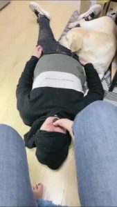 套路直播视频【小布丁S】人不如狗系列（二） bf25070_绳艺库视频下载