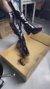 【深圳万一S】踩踏碾压小龙虾 bf12205_绳艺库视频下载