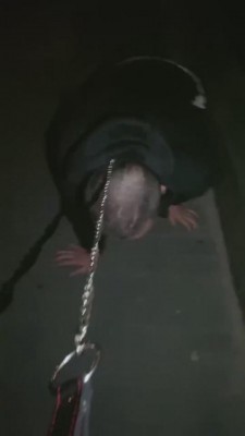 【樱桃大大】一场说走就走的遛狗 bf8426_绳艺库视频下载