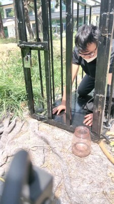 【沅芷大人】关狗笼圈养犬化-手铐捆绑/高跟踩踏 bf28263_绳艺库视频下载