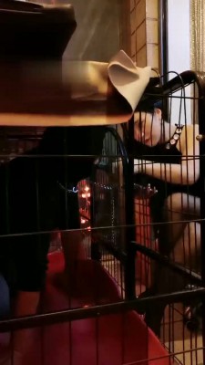 【傲雪】废物绿帽香水羞辱 bf21745_绳艺库视频下载