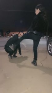 【鑫儿教头】户外公开军训爬行犬 bf11262_绳艺库视频下载