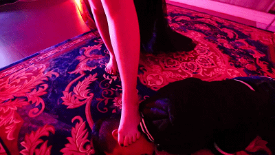 〖H.P.L栖心之栈〗—东京食尸鬼同人剧场：暴踢篇_绳艺库视频下载