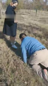 【羽诺】天气好户外溜溜狗 bf5792_绳艺库视频下载