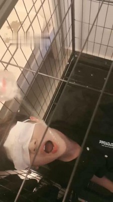 【陌初】多主群调圈养狗【四视角版】 JS220902202_绳艺库视频下载