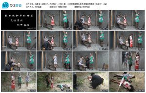 【mj影视】女烈三凤_绳艺库视频下载