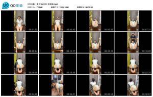 麦子写在身上的狗狗_绳艺库视频下载